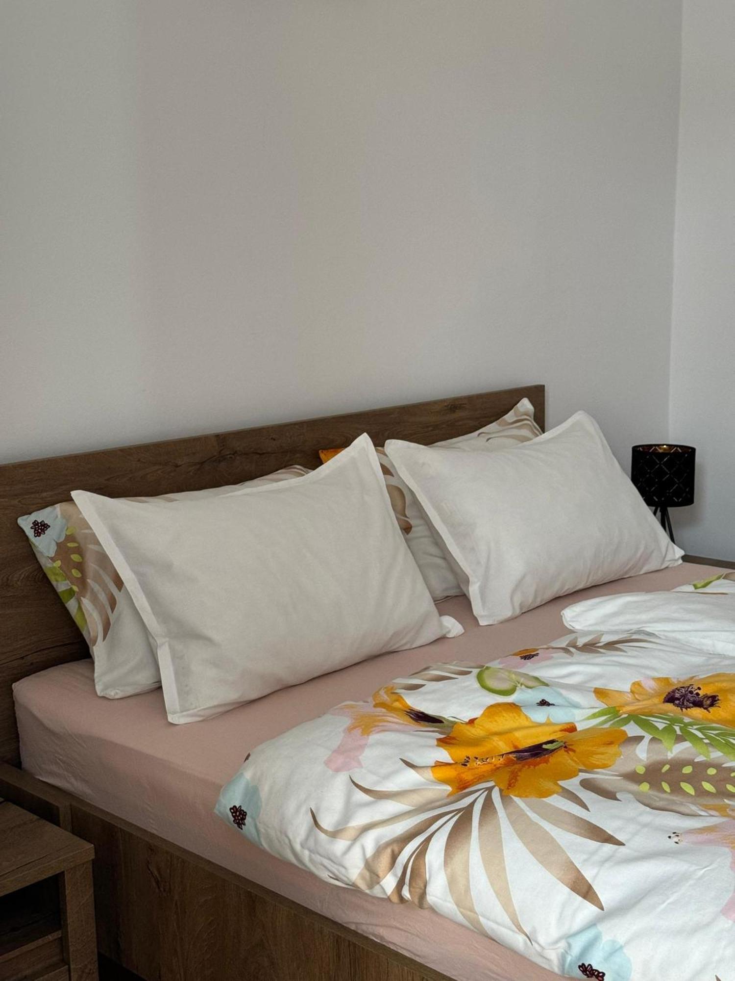 Apartament Victoria Timisoara Exterior foto