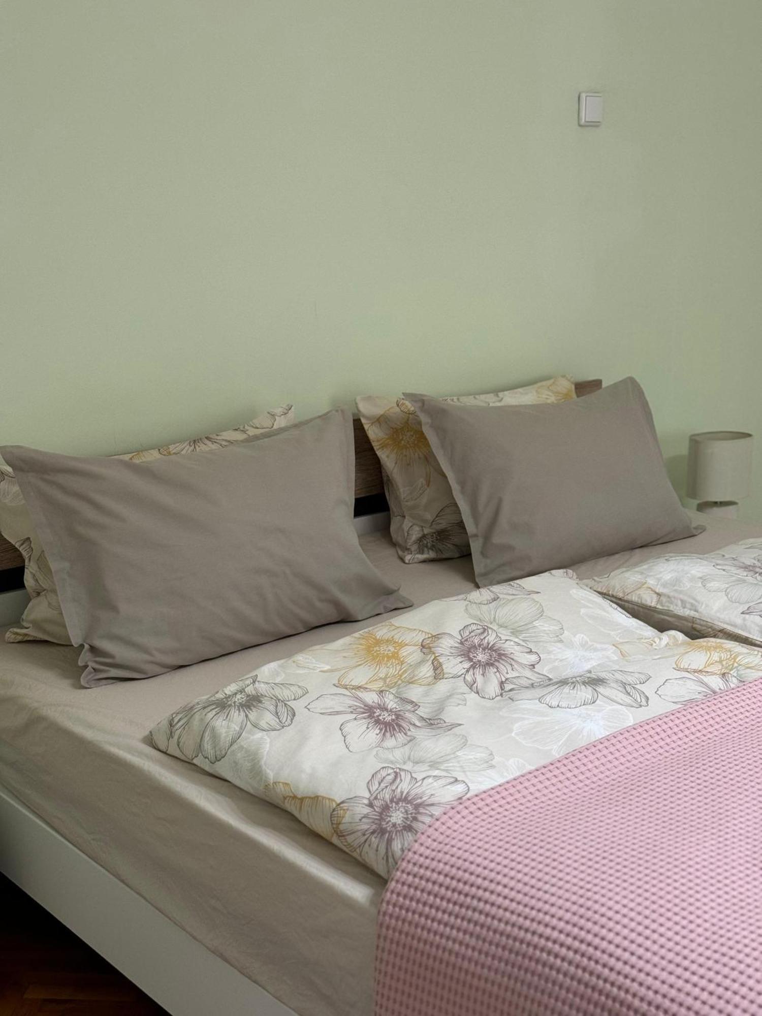 Apartament Victoria Timisoara Exterior foto
